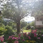 Daire Gullerhof - Koepfle