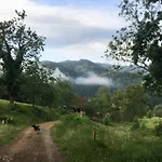 Gullerhof - Koepfle Glottertal