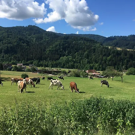 公寓 Gullerhof - Koepfle 格洛特尔塔尔