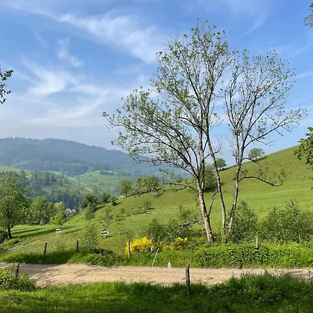 Gullerhof - Koepfle * 格洛特尔塔尔