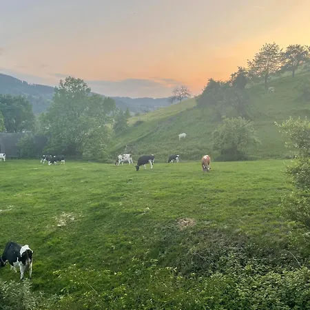 公寓 Gullerhof - Koepfle 格洛特尔塔尔