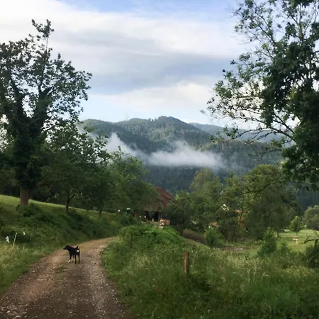 Gullerhof - Koepfle Glottertal