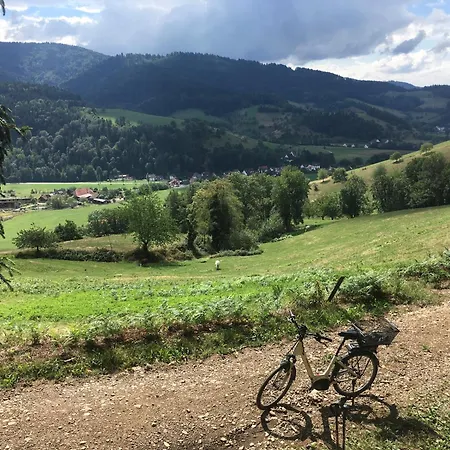 Apartmán Gullerhof - Koepfle Glottertal