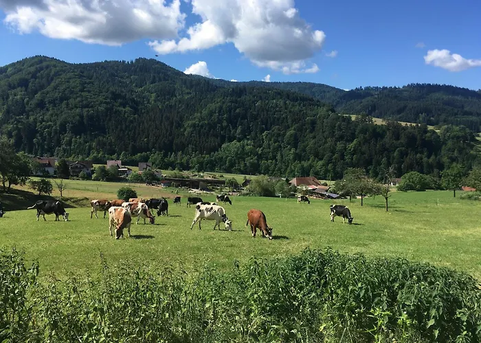 アパート Gullerhof - Koepfle グロッタータール