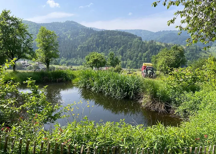 Gullerhof - Koepfle *