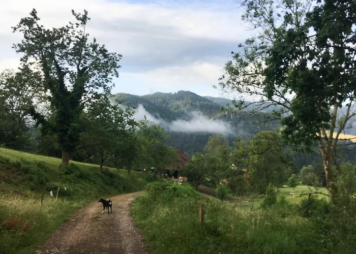 アパート Gullerhof - Koepfle *